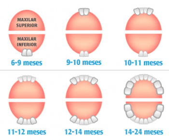 ¿Qué problemas causa la erupción de los dientes?